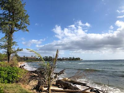 Sandee - Wailua Beach