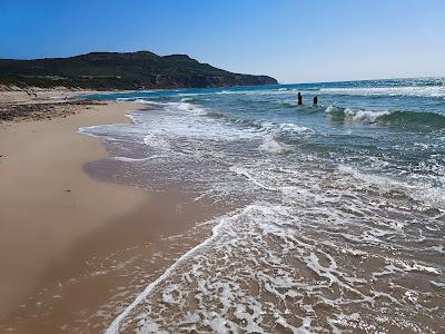 Sandee - Punta Di L'Arena Beach