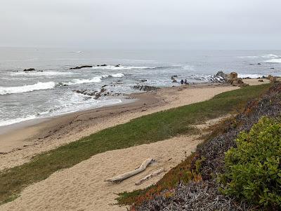 Sandee - Camino Pescadero Beach Access