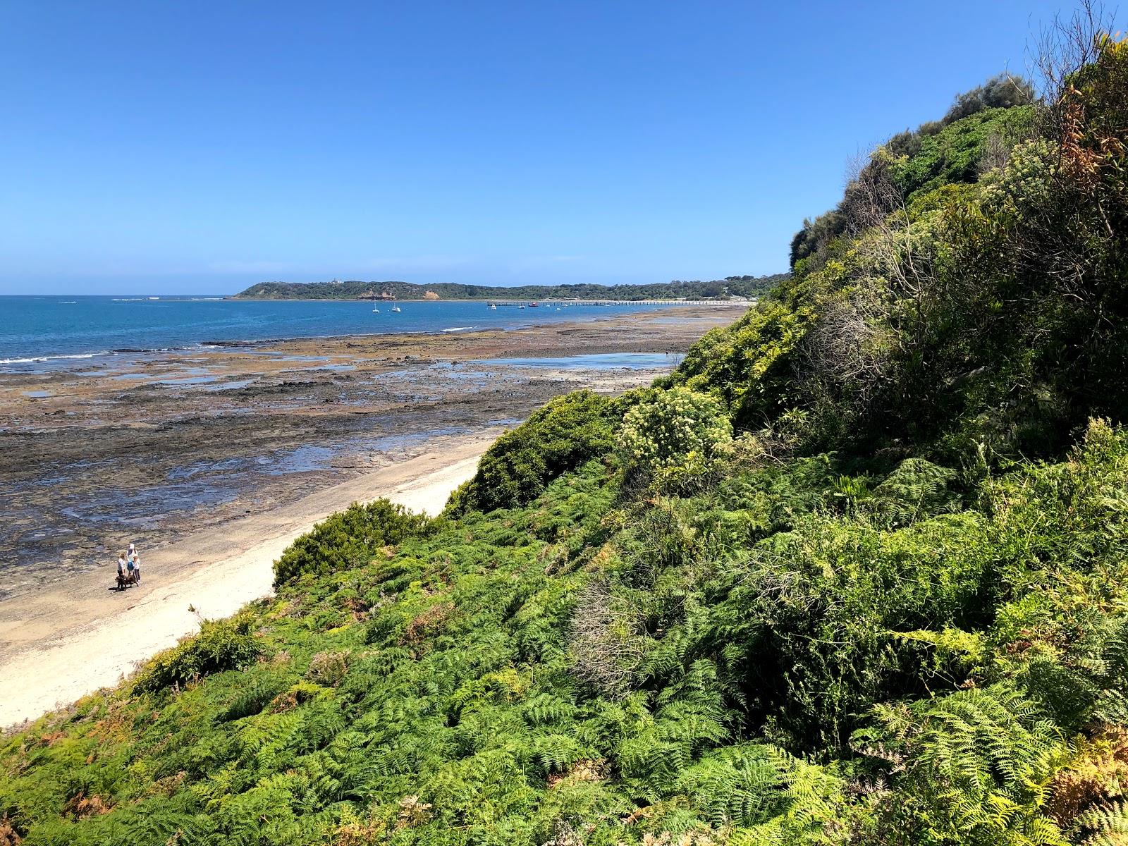 Sandee Flinders Dog Beach