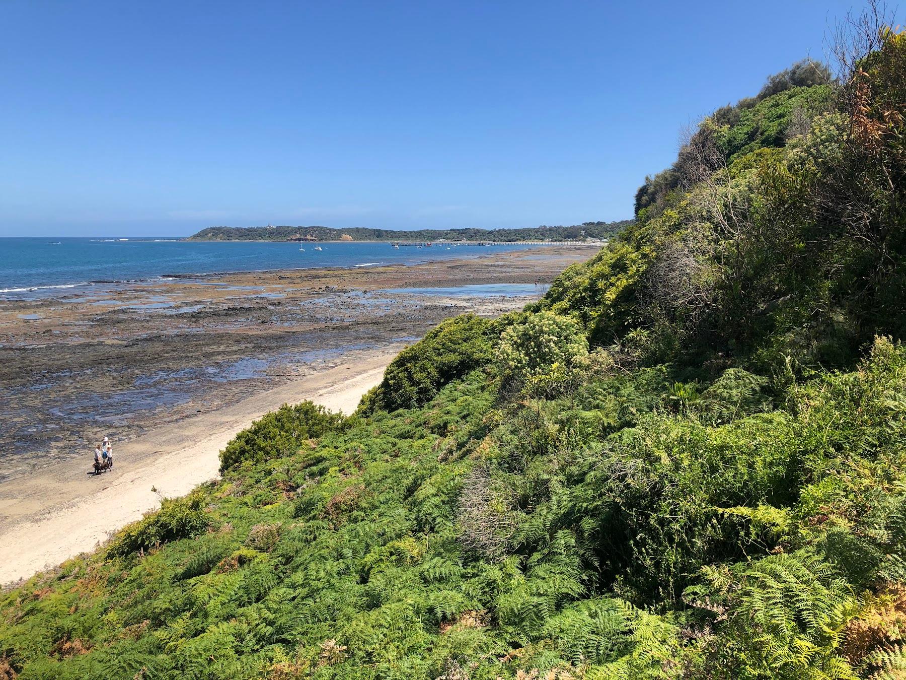 Sandee Flinders Dog Beach