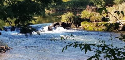 Sandee - Praia Fluvial Da Loureira