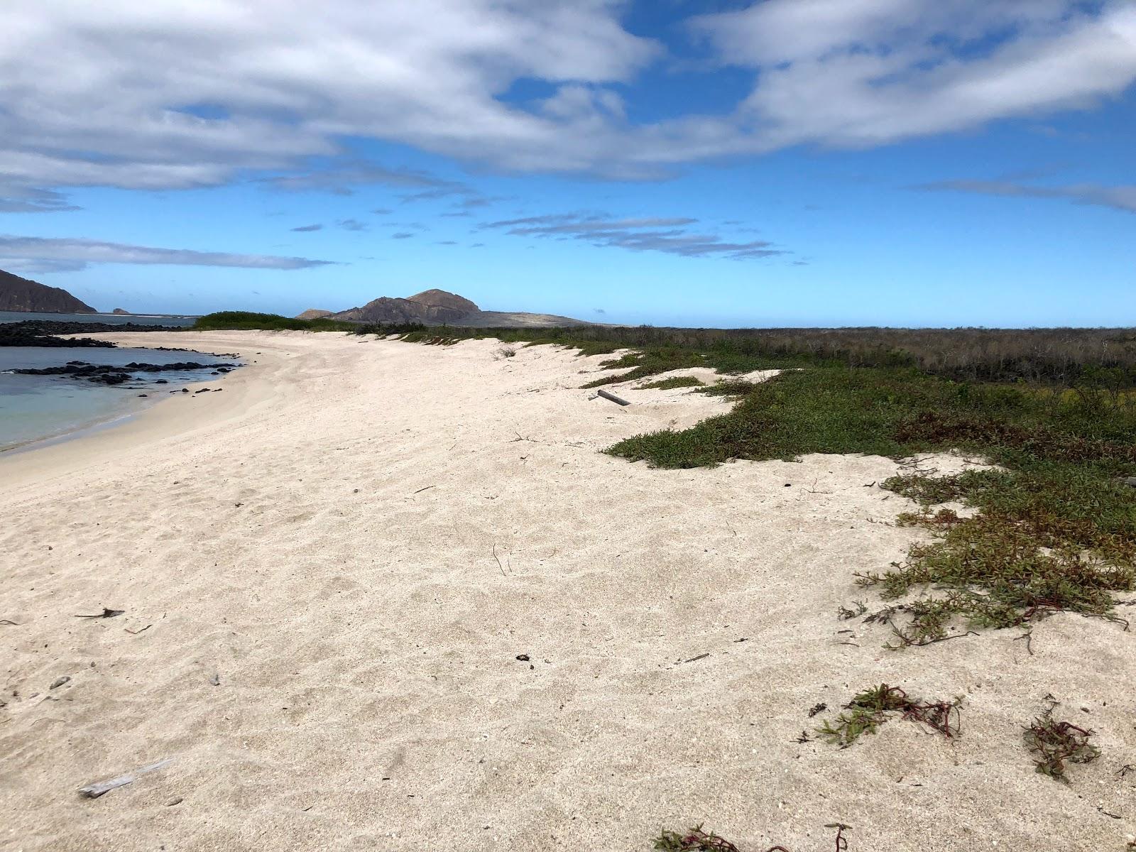 Sandee La Galapaguera Beach