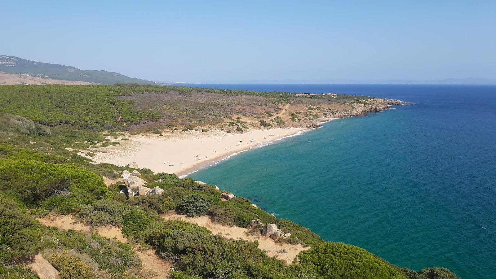 Sandee - HomePage / Bolonia, Spain