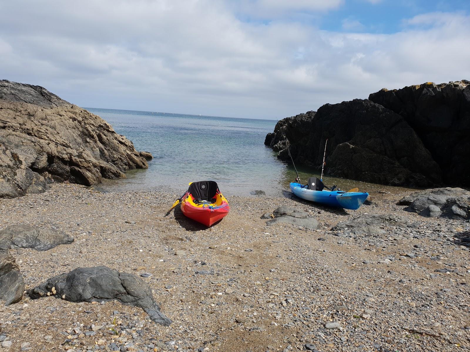 Sandee Nelly's Cove Beach Photo