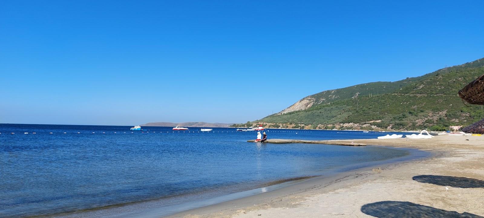 Sandee Kalpagrim Zateser Sevgi Rihtimi