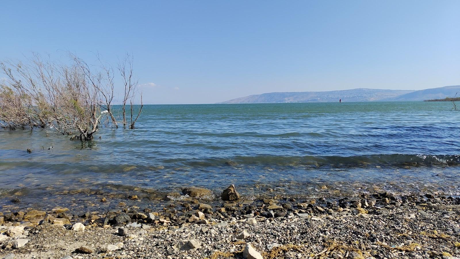 Sandee Kfar Nahum Beach Photo