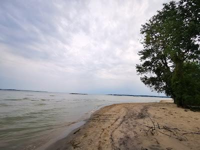 Sandee - North Swimming Beach