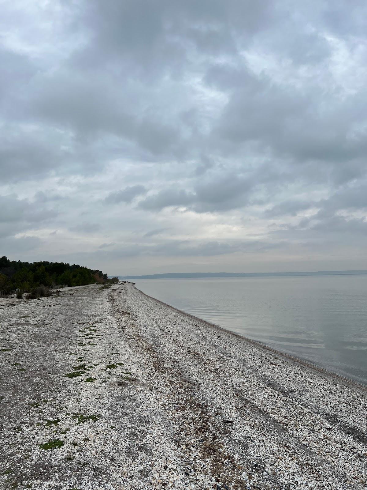 Sandee Plage De Figuerolles
 Photo