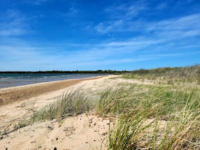 Sandee - Cheboygan State Park