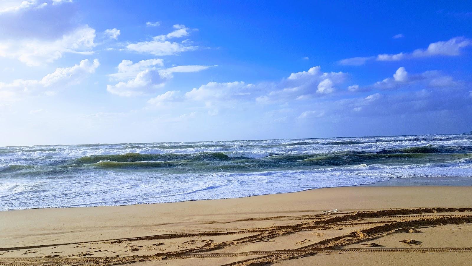 Sandee Ziqim Beach