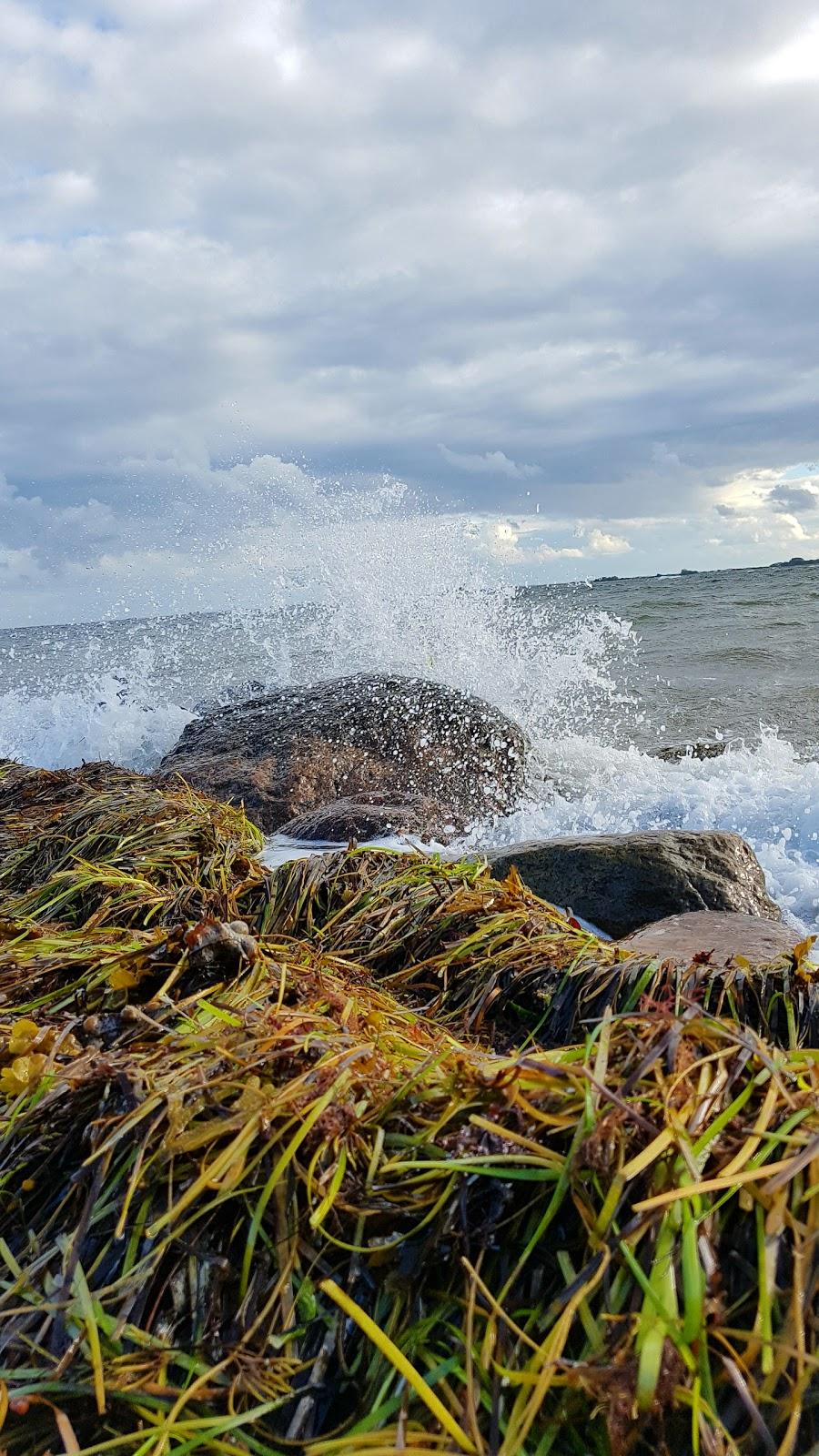 Sandee Lehnskov Strand Photo