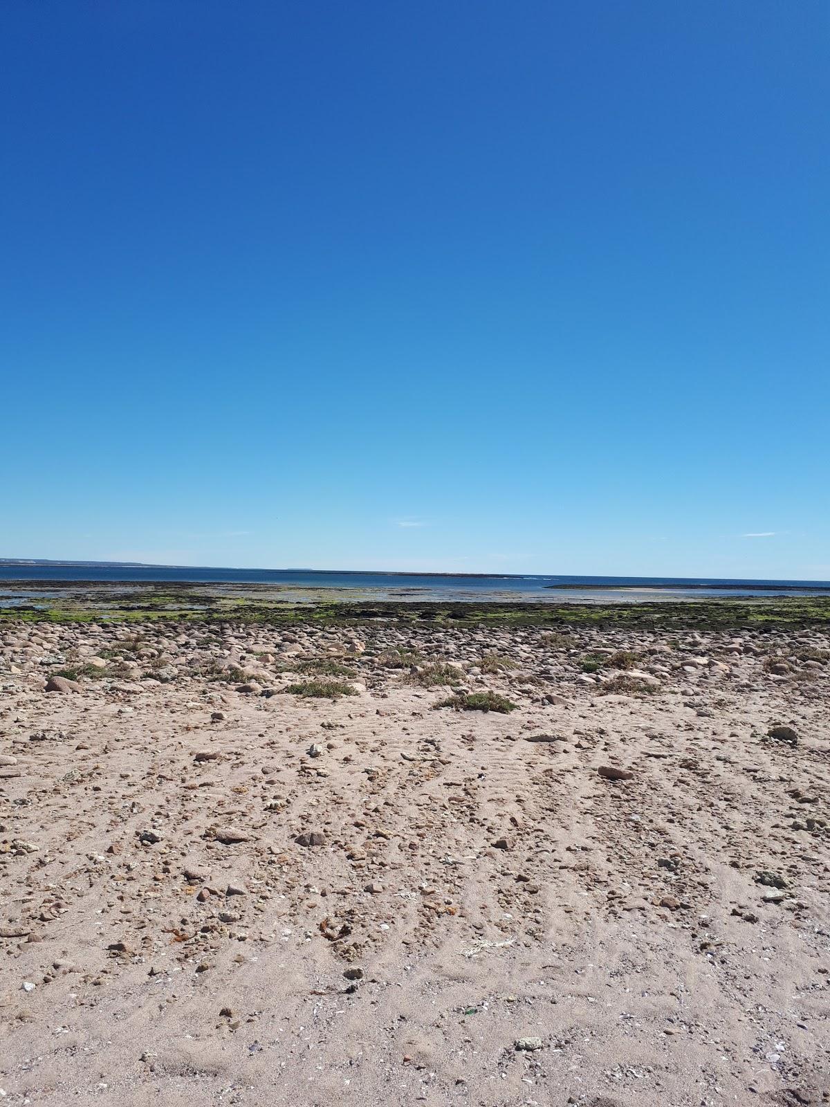 Islote Lobos National Park Photo - Sandee