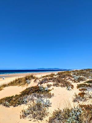 Sandee - Praia Alto Da Vela