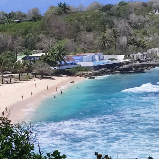 Sandee Plage De L'Anse Bertrand Photo