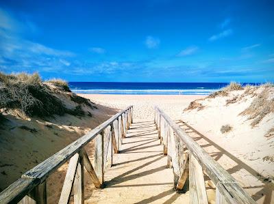 Sandee - Playa El Palmar