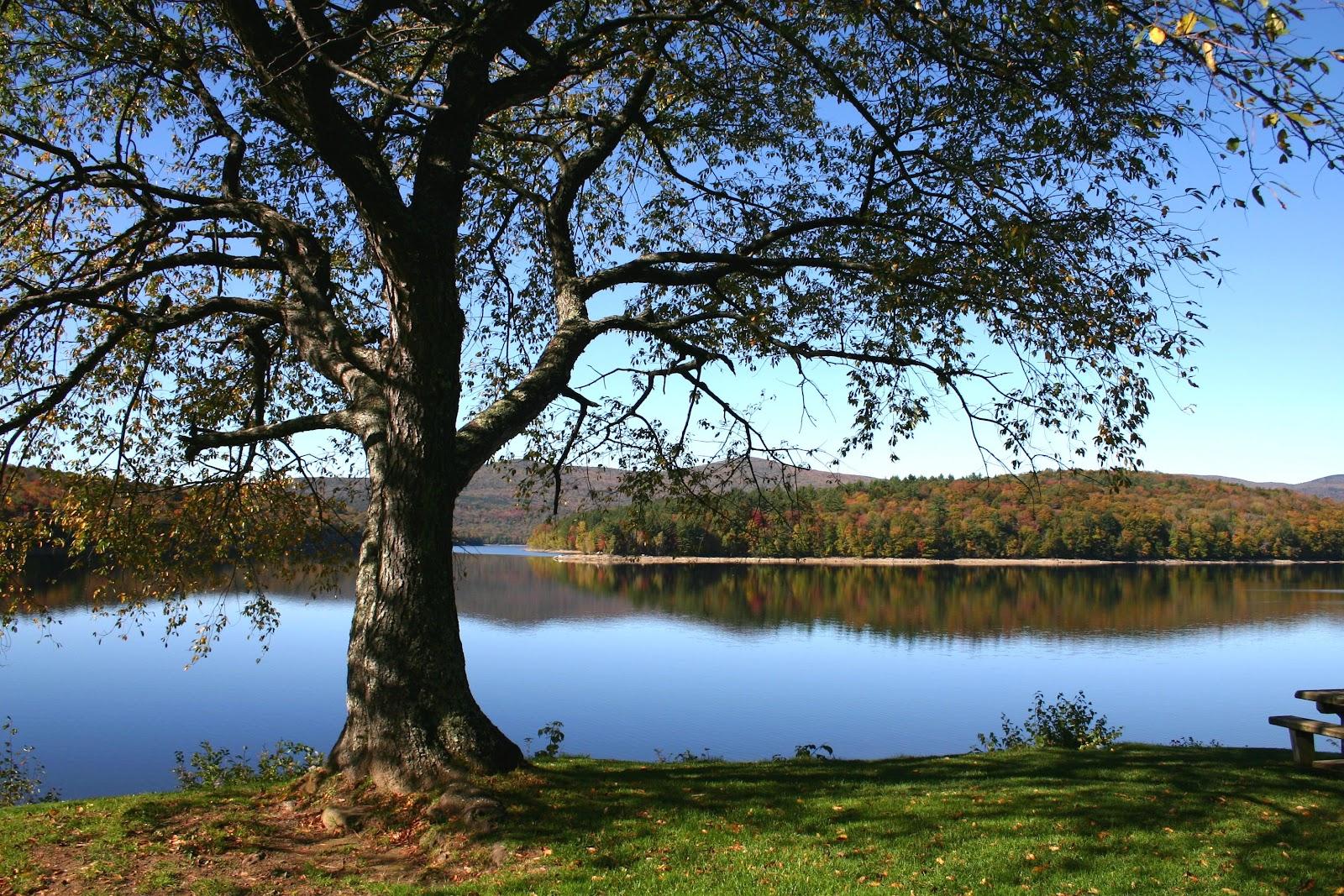 Sandee Lake Raponda
