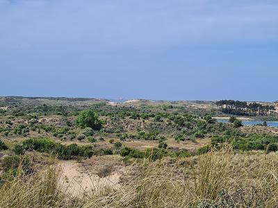 Sandee - Parnassia Aan Zee