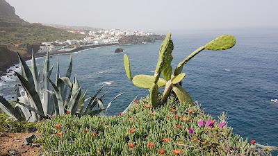 Sandee - Playa De Las Aguas