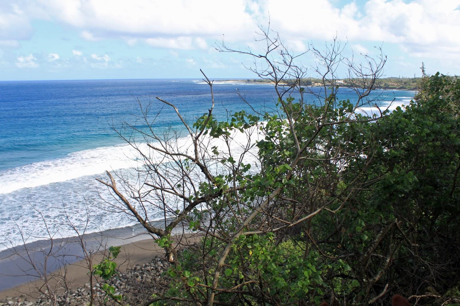 Sandee - Awahua Beach