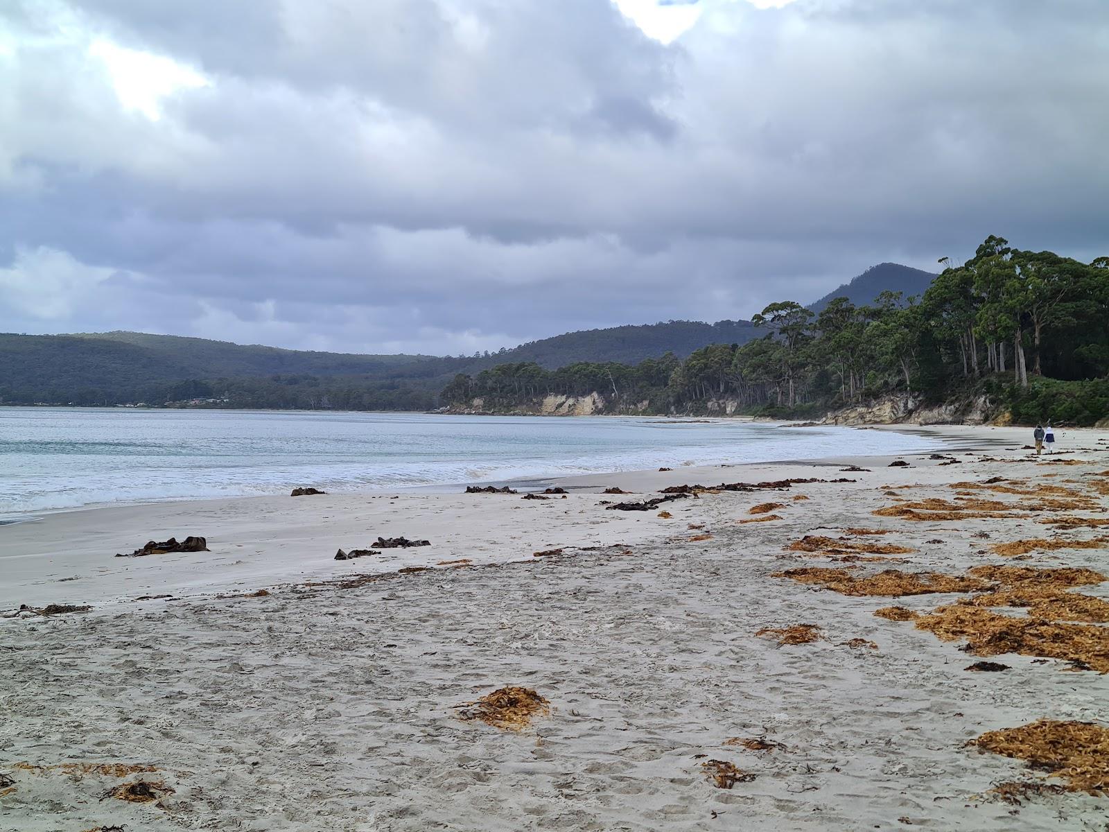 Sandee Hanssons Beach