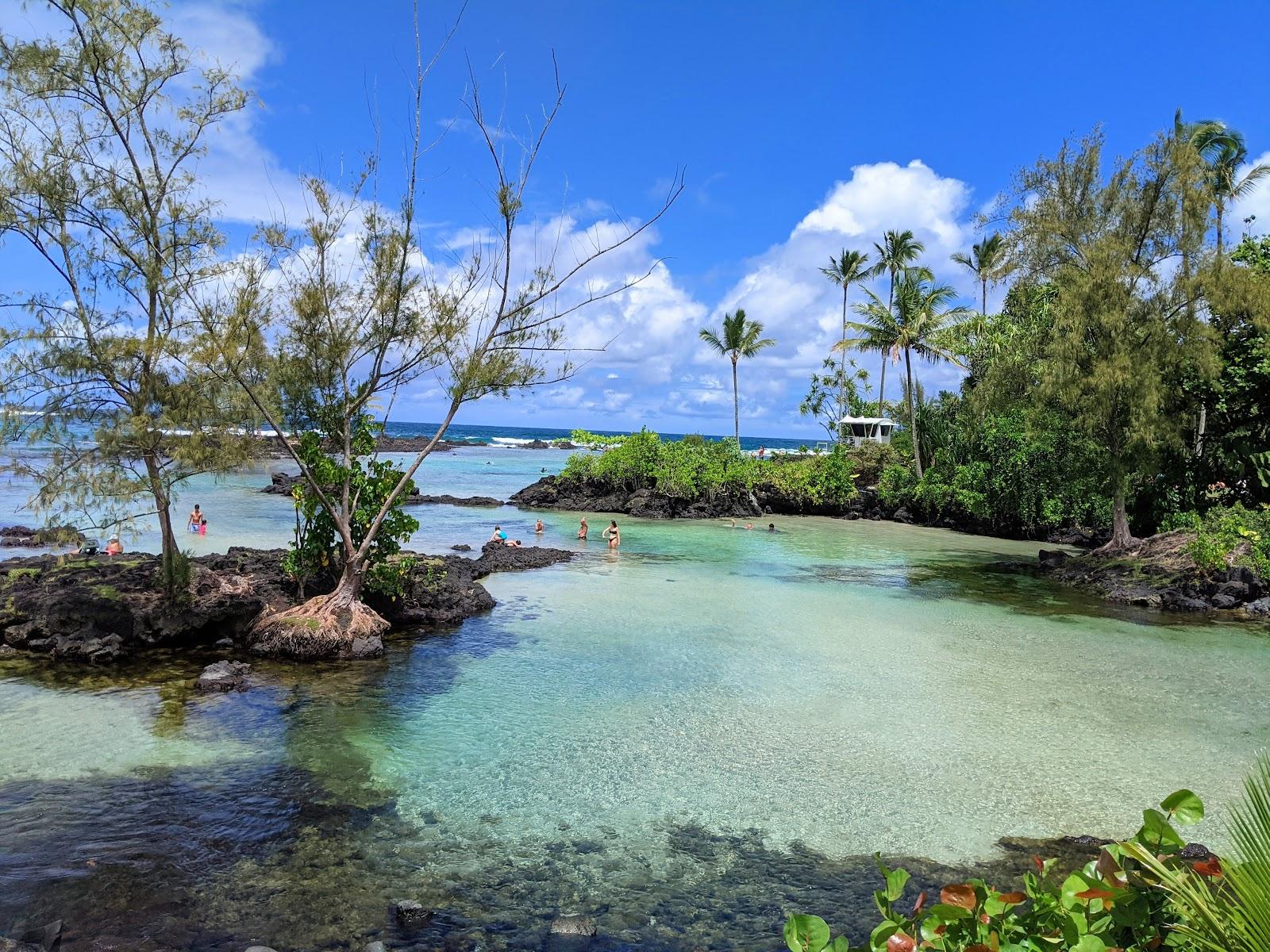 Sandee Carlsmith Beach Park Photo