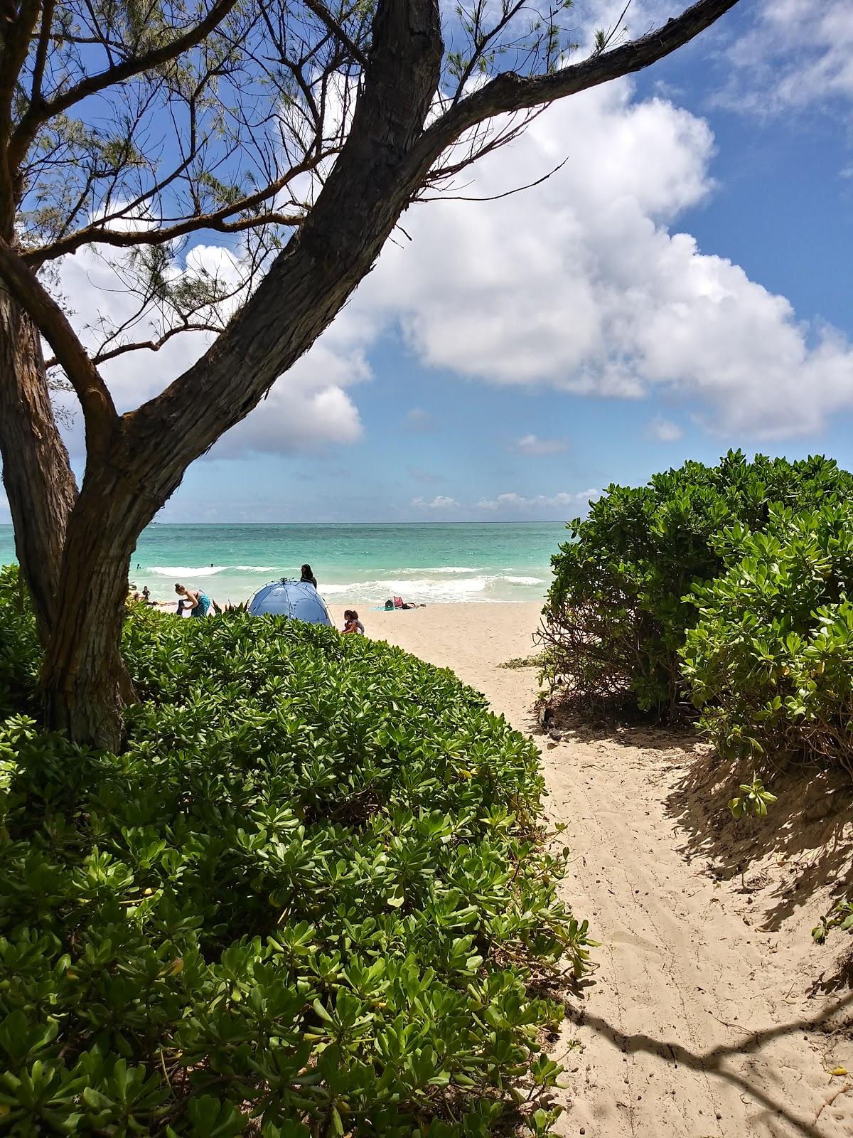 Sandee - Kalama Beach Park