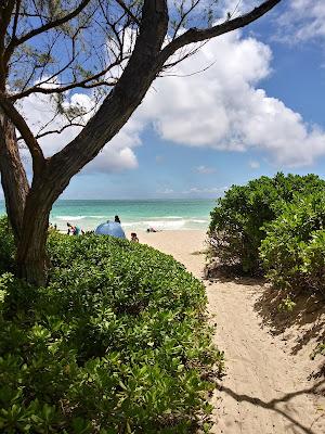 Sandee - Kalama Beach Park