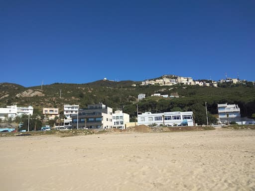 Sandee - Ain Dalia Beach