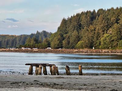 Sandee - Ziolkouski Beach Park