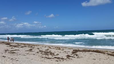 Sandee - Laura Ward Park Beach