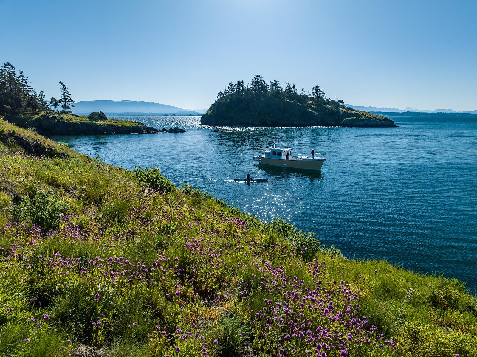 Sandee Saddlebag Island State Park Photo