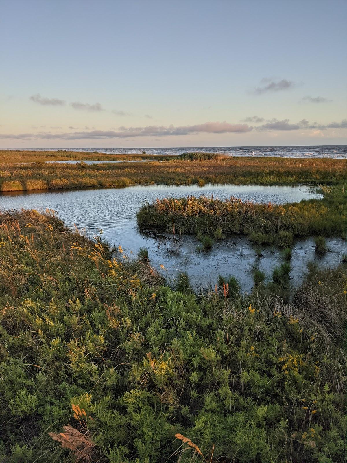 Sandee - Sea Rim State Park