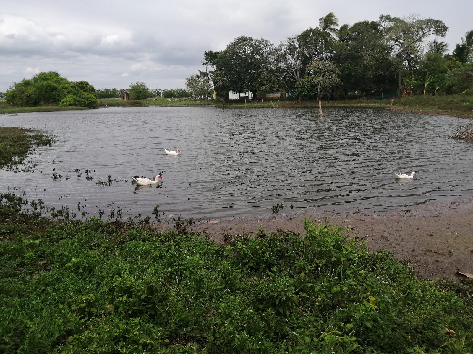 Sandee Lago De Cheo