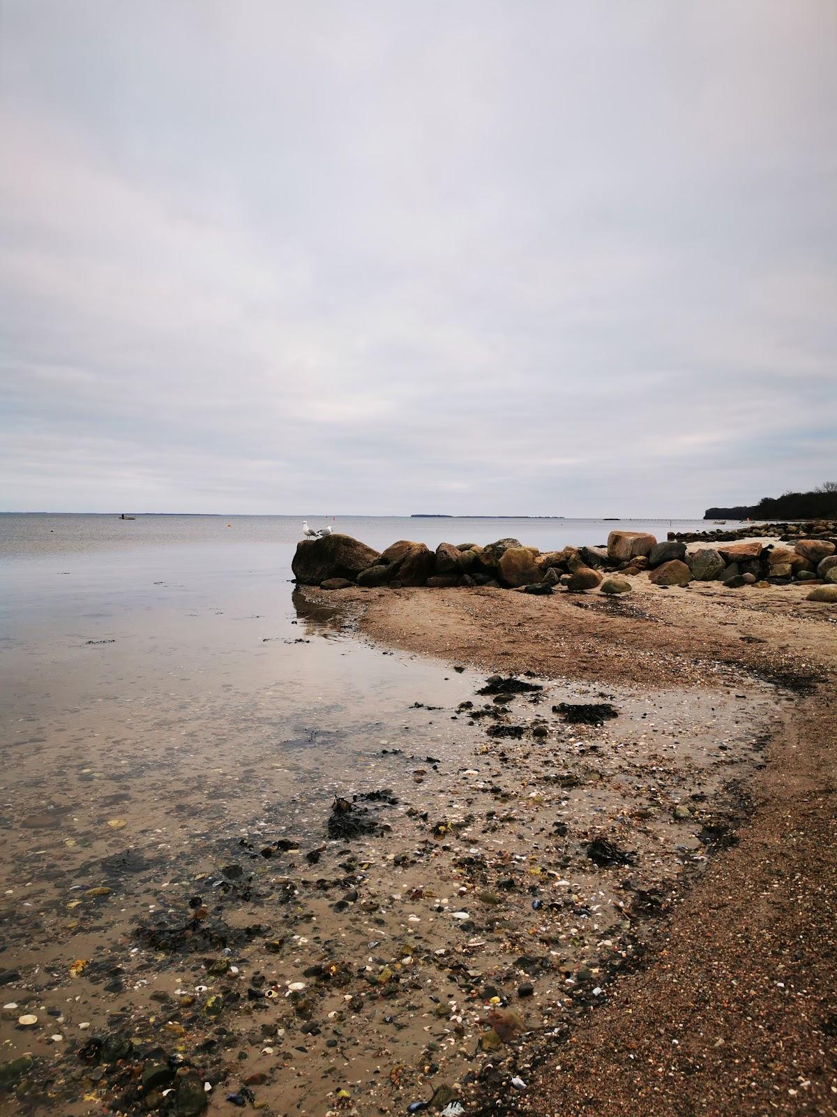 Sandee - HomePage / Bjert