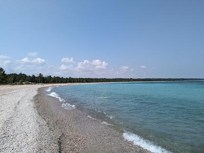 Sandee - Gull Point Beach