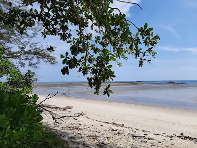 Sandee - Tungau Beach