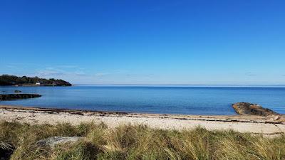 Sandee - Stoney Beach