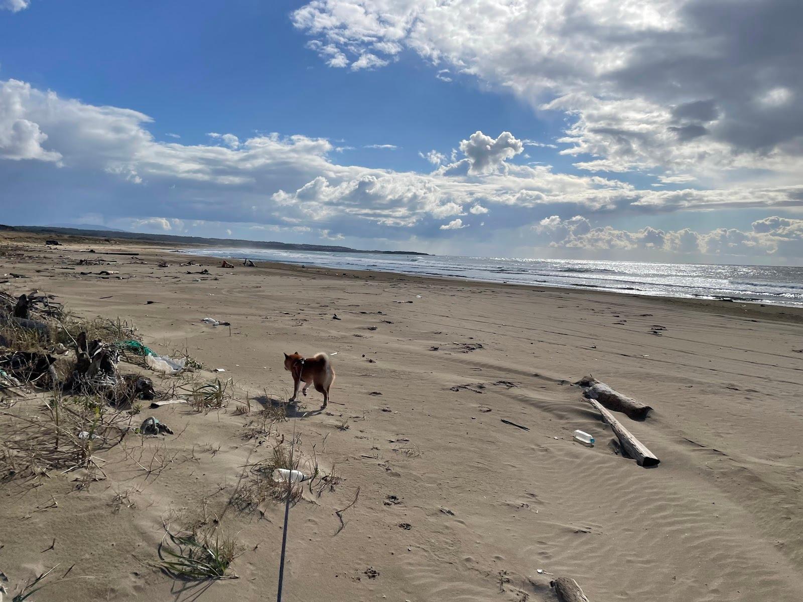 Sandee Ishiwaki Camping Ground Beach