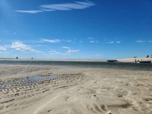 Sandee Grays Beach Photo