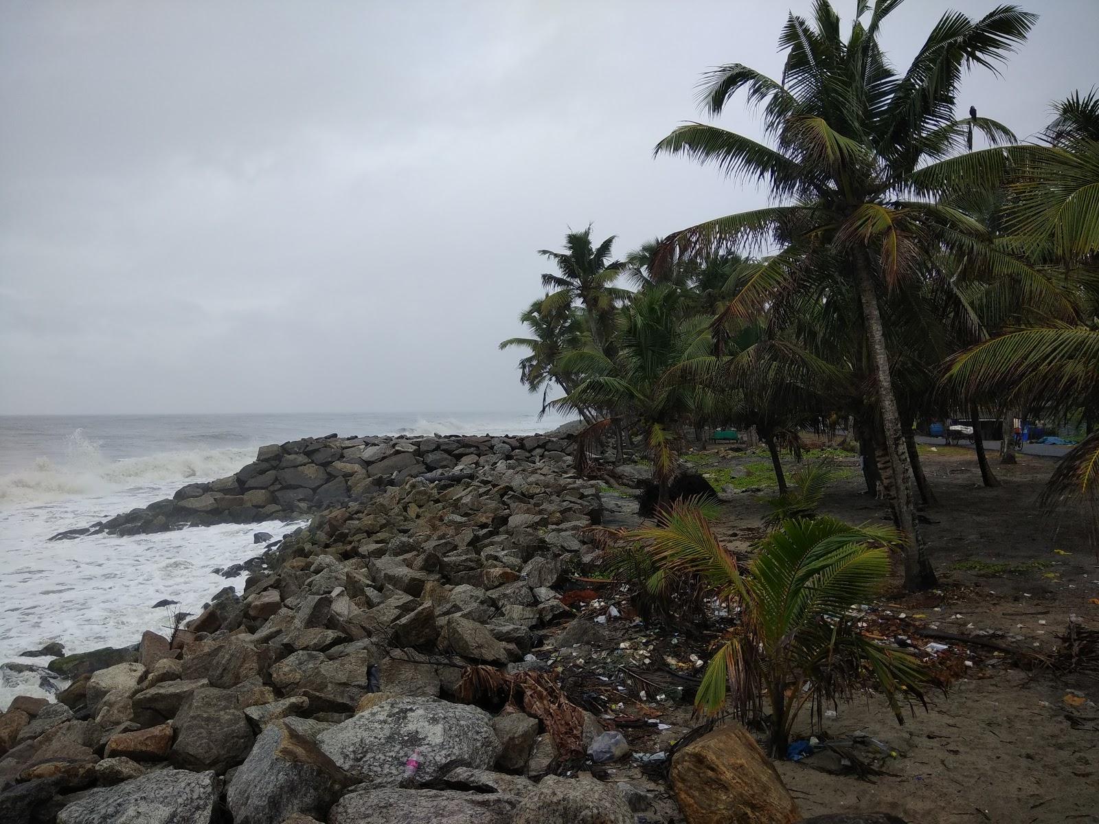 Sandee - Thrikkunnappuzha Beach