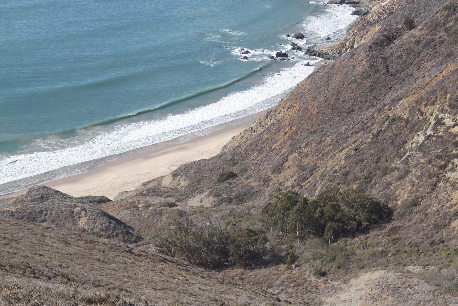 Sandee Brown's Beach