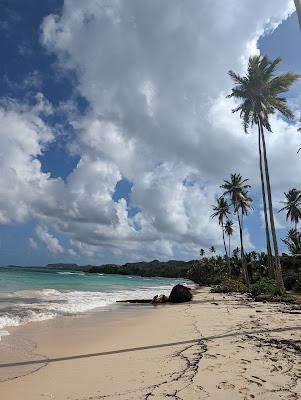 Sandee - Playa El Rincon