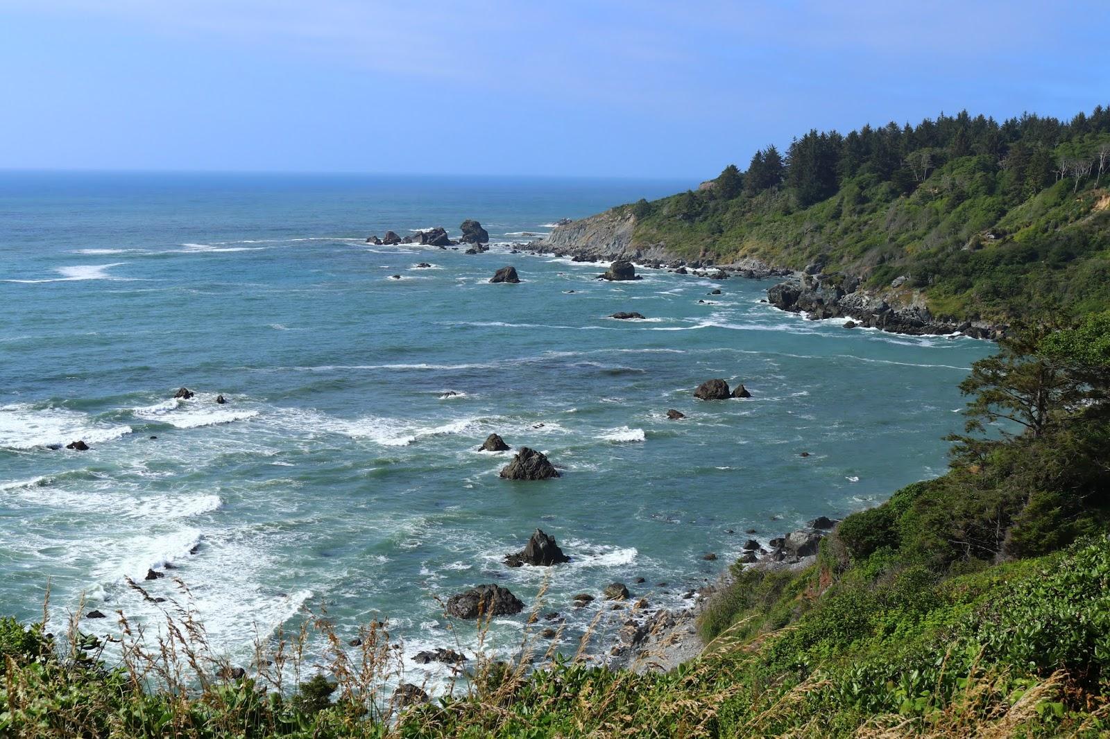 Sandee Parlmer's Point At Patrick's Point State Park