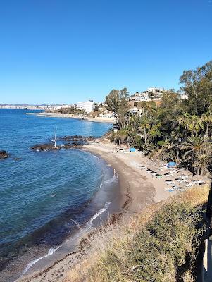 Sandee - Playa De La Viborilla