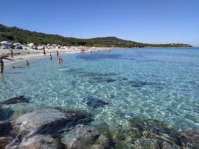 Sandee - Plage De Ghjunchitu