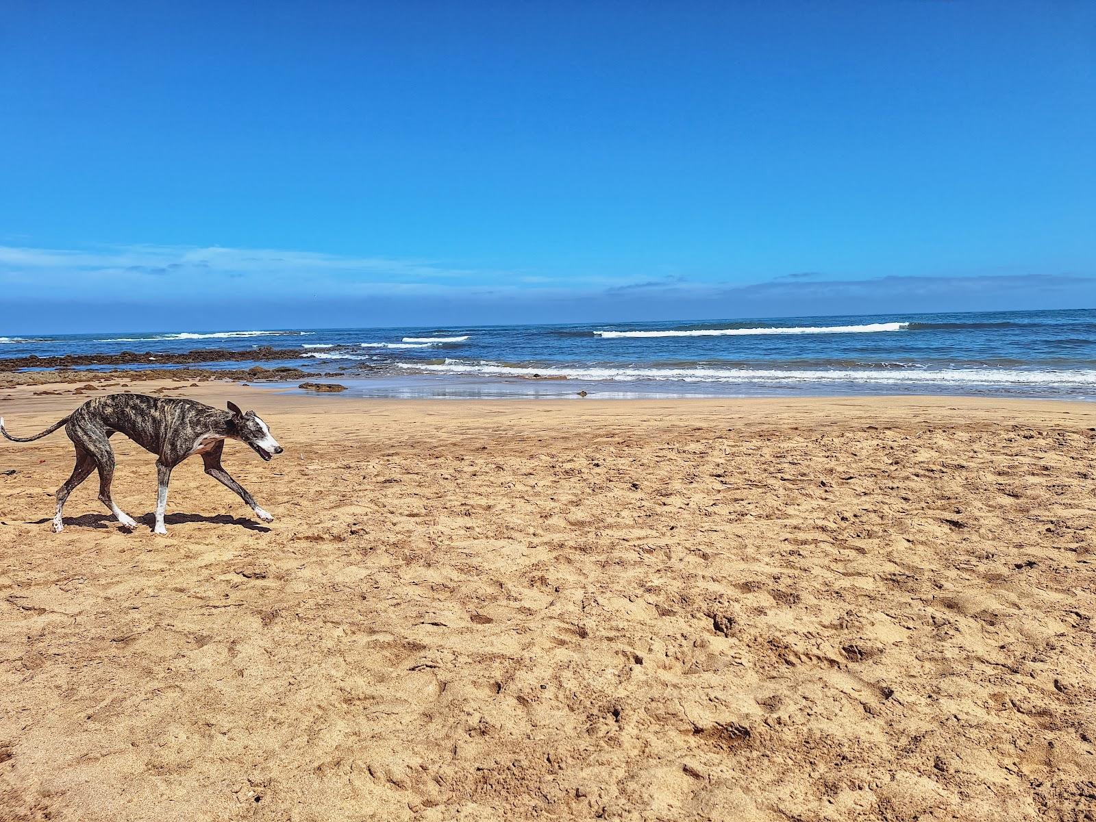 Sandee - Plage Des Contrebandiers