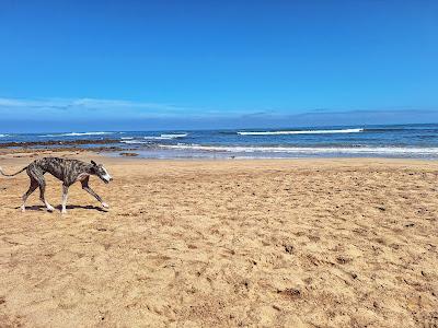 Sandee - Plage Des Contrebandiers