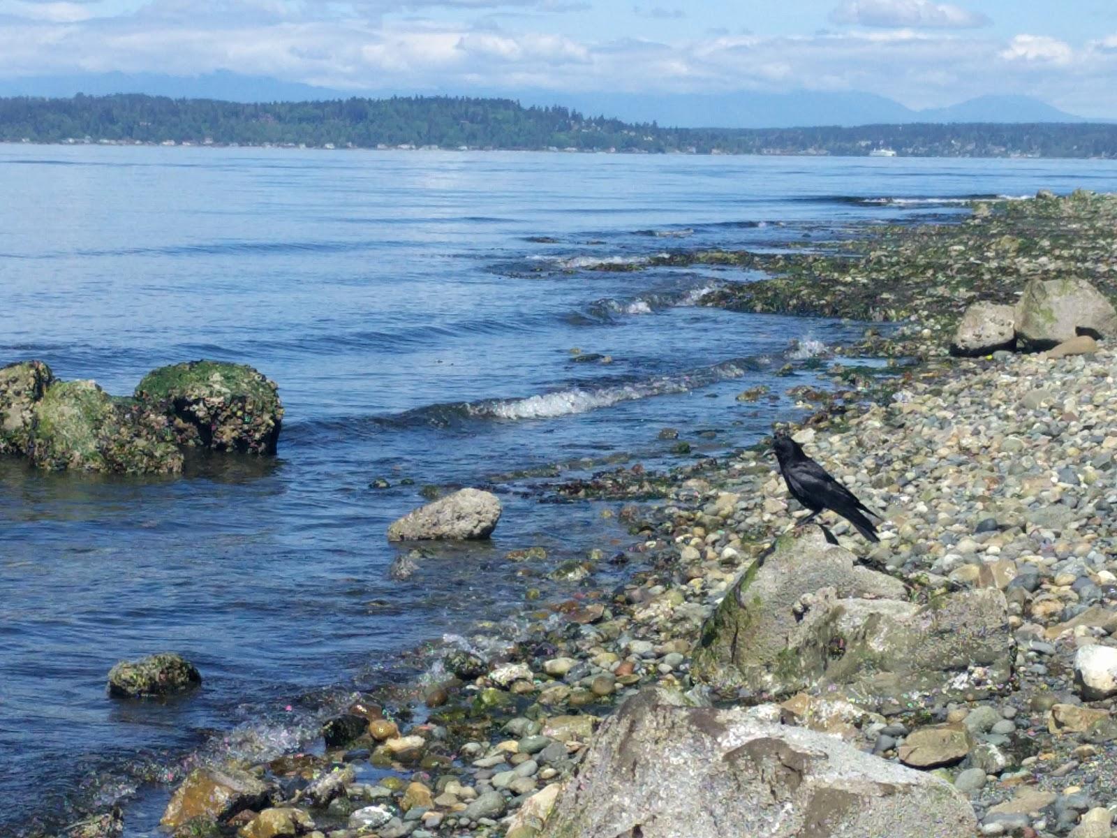 Sandee - Alki Point Light Station