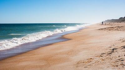 Sandee - Guana Reserve Middle Beach